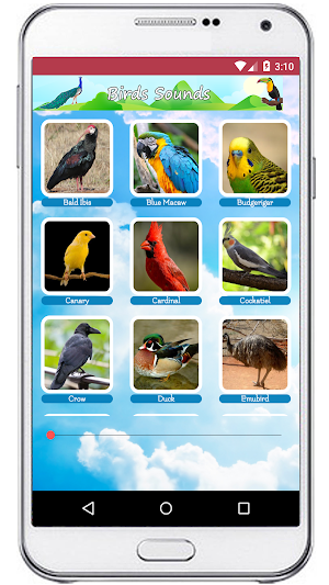 Birds Sounds Ringtones Screenshot 1
