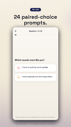 DISC Personality Profile Test Screenshot 1