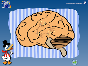 HC And - Epilepsi Screenshot 1