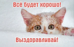 Выздоравливай Открытки Screenshot 2