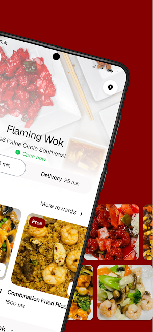 Flaming Wok Screenshot 1