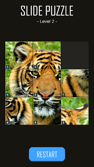 15 Slide Block Tiles Puzzle HD Screenshot 3