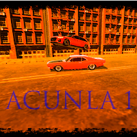 Acunla Yarış