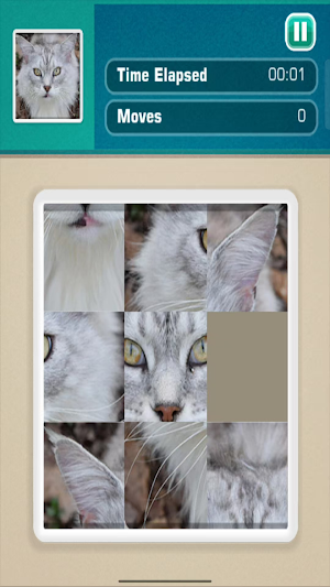 PictureSlide Puzzle Screenshot 0