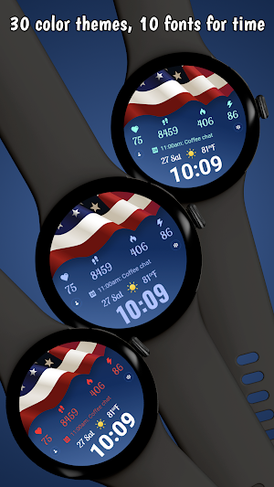 Patriot SWF 01 Screenshot 3
