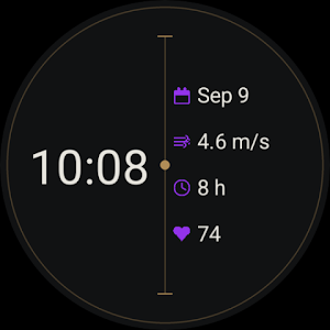 Executive-IOV Watch Face Screenshot 3