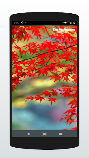 Wallpaper Changer Screenshot 1