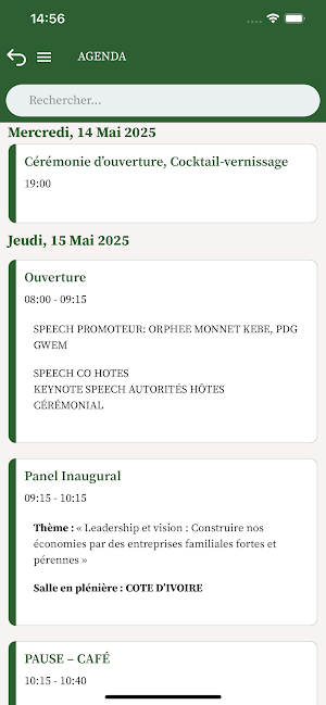 FIAGEF Screenshot 1
