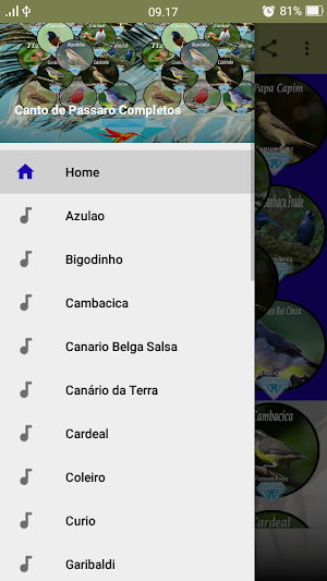Canto de Passaro Completos Screenshot 1