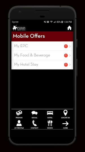 CDA Casino Screenshot 1