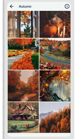 Autumn Wallpaper Screenshot 2