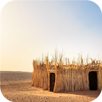 Mystery Desert. Super Wallpape