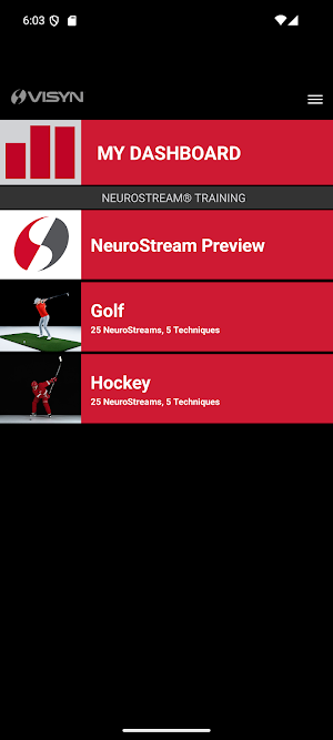 VISYN NeuroStream Training Screenshot 0