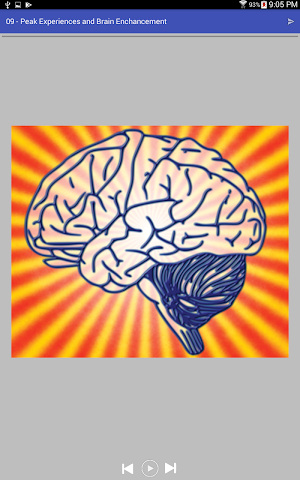 Brain Health Audiobook Screenshot 3