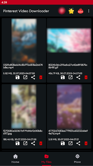 Video Downloader for Pinterest Screenshot 3