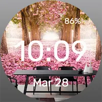 Japanese Lunch - Watch Face