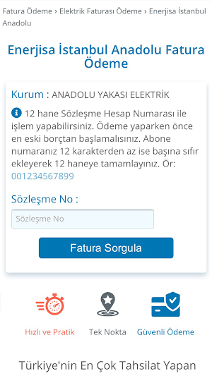 Elektrik Faturası Ödeme Screenshot 1
