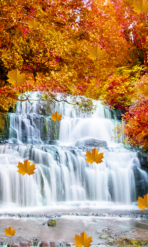 Fall Live Wallpaper Screenshot 2