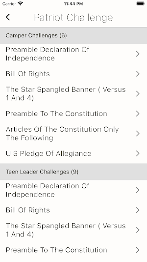 American Patriot Camp Screenshot 3