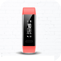 Huawei Band 2 Pro Hint