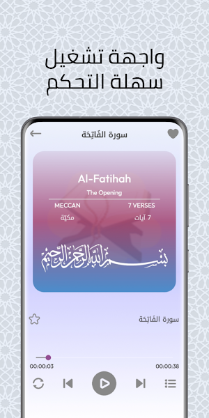 القرآن الكريم: الشيخ حسن صالح Screenshot 2