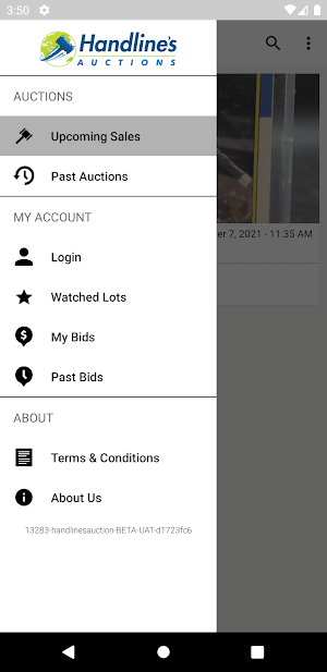 Handline's Auctions Screenshot 3