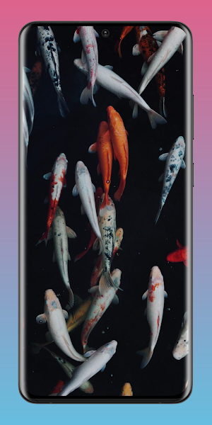 Koi Fish Pond Wallpaper HD 4K Screenshot 2