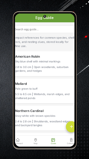 paris turf Screenshot 2