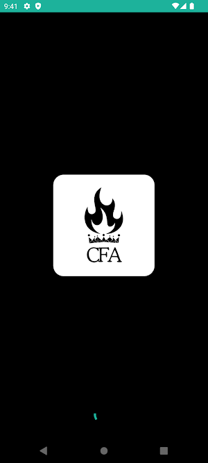 CFA Bariloche Screenshot 1