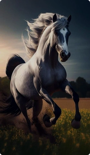 Horse Wallpaper HD Screenshot 2