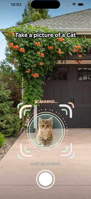StrayDex: Catch Cats Screenshot 0