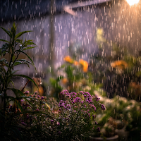 Raining Wallpaper