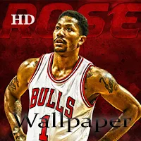 Derrick Rose HD Wallpaper