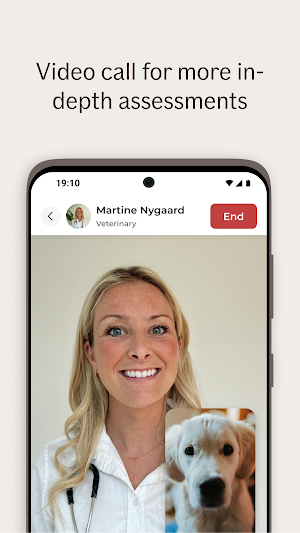 If Eläinapu Screenshot 3