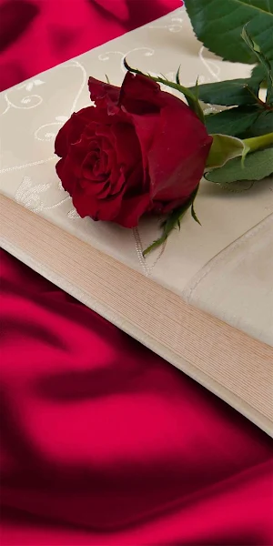 Love Romantic Flowers GIF Screenshot 0