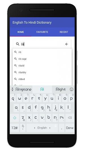 English To Hindi Dictionary Screenshot 2