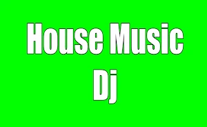 House Music Remix Screenshot 0