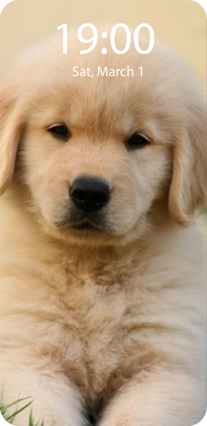 Puppy Live Wallpaper Parallax Screenshot 2