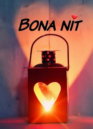Bon Dia Bona Nit Screenshot 3