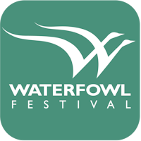 Waterfowl Festival