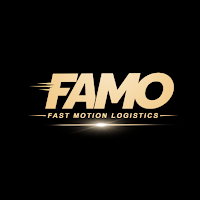 Fast Motion