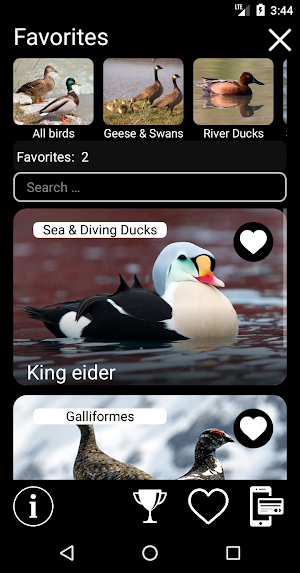 Birds of North America: Songs, Calls & Decoys Screenshot 1