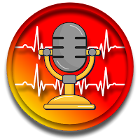 Stereo Voice Recorder