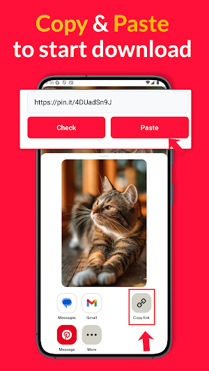 PinSave Video Downloader Screenshot 0
