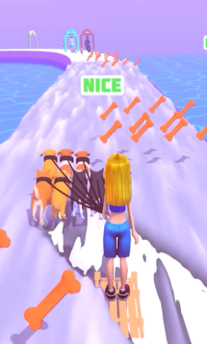 Dog Run 3D Screenshot 1