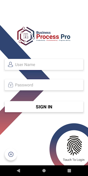 Business Process Pro Screenshot 1