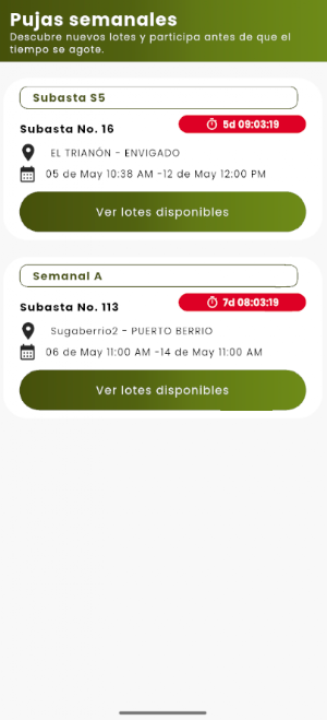 Sugaberrioapp Screenshot 2