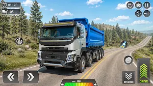 Heavy Load Truck Sim Game Screenshot 0