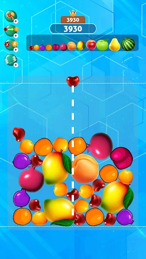 Fruit Drop Jelly Merge Melon Screenshot 1