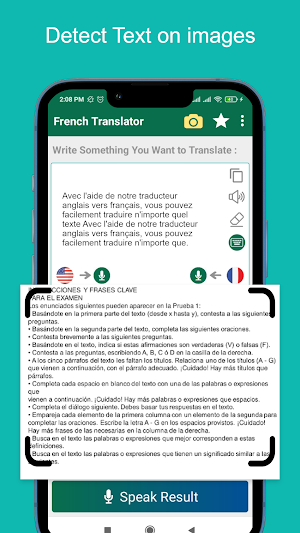 French - Spanish Translator Screenshot 3